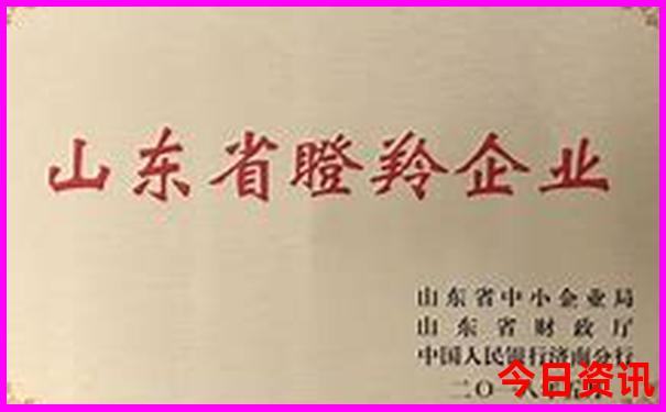 全国最适合避暑的地方有哪些